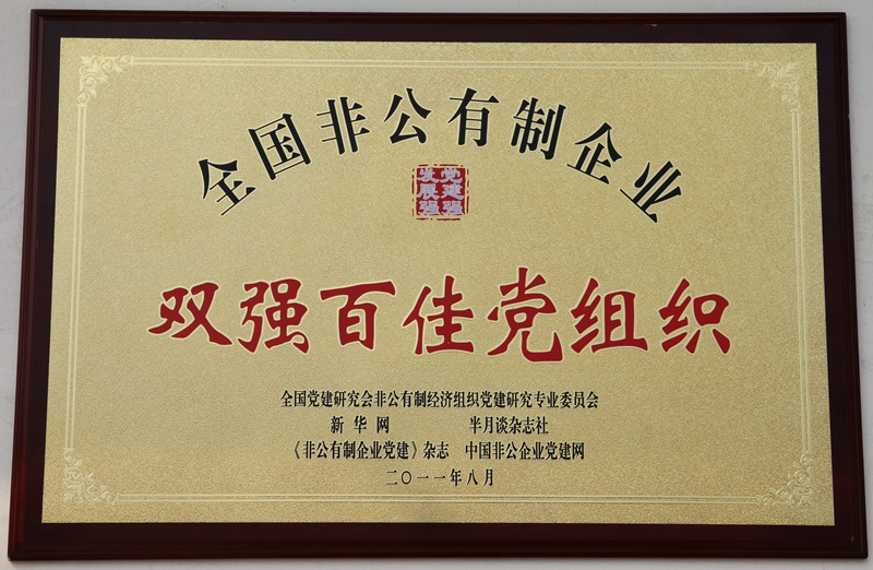 全國非公企業“雙強百佳黨組織”（2011）