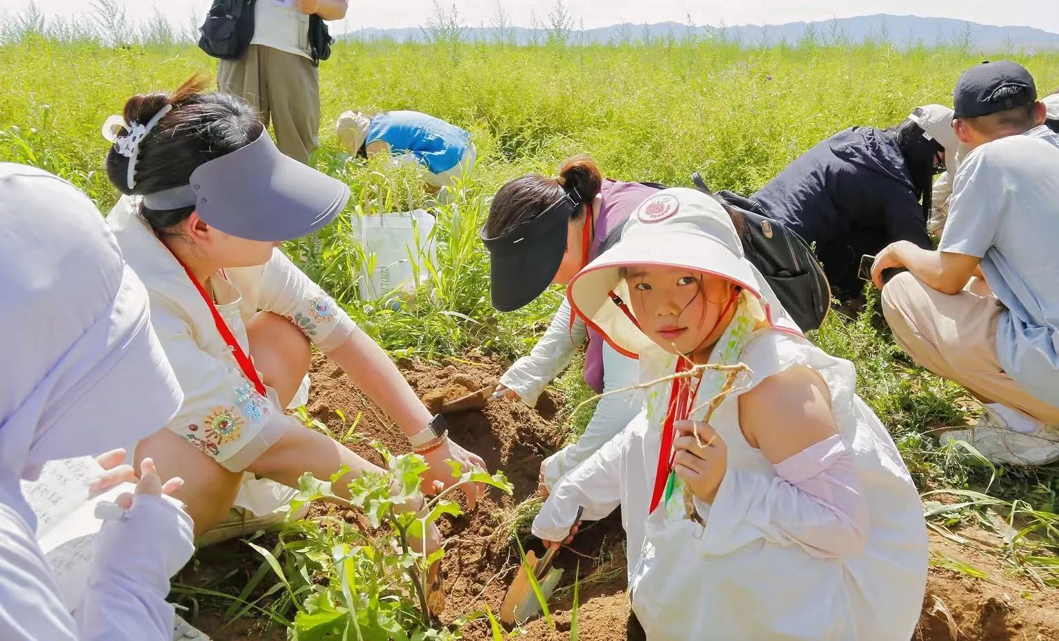 深度溯源有機(jī)品質(zhì)，第二屆717龍鳳堂有機(jī)黃芪節(jié)在固陽舉辦